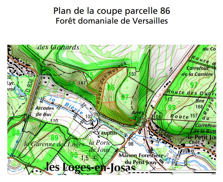 Coupe parcelle 86 – Forê de Versailles – 4e trimestre de 2020
