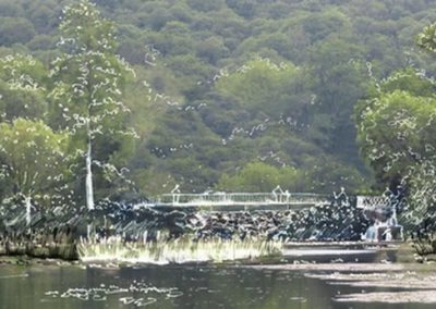 Les étangs de Corot évoluent – Etape I