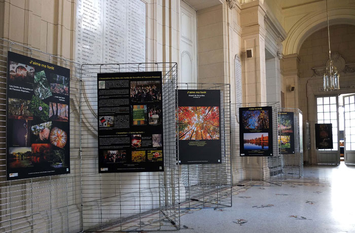 « J’aime ma forêt » un parcours de l’exposition