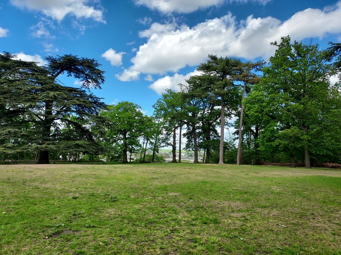 Vue sur l'espace arboré du plateau Saint Martin