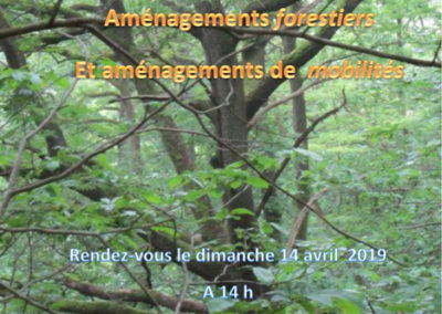 Randonnée découverte – Forêt de Versailles