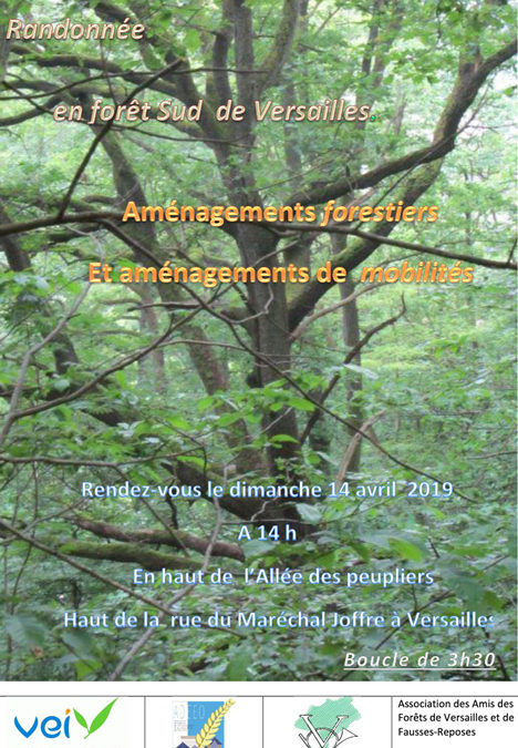 Randonnée découverte – Forêt de Versailles