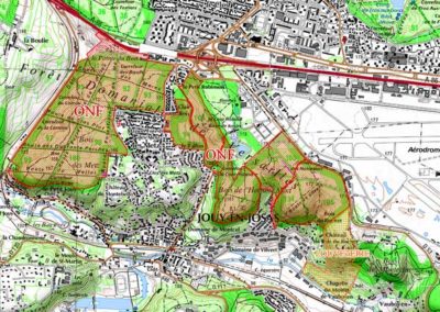 Chasse-Battue en forêt de Versailles, 13 novembre 2025