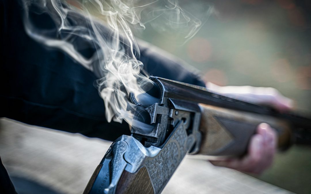 Chasse-Battue en forêt de Versailles, 02 décembre 2025