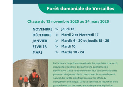 Chasse en forêt de Versailles, décembre 2025 à mars 2026