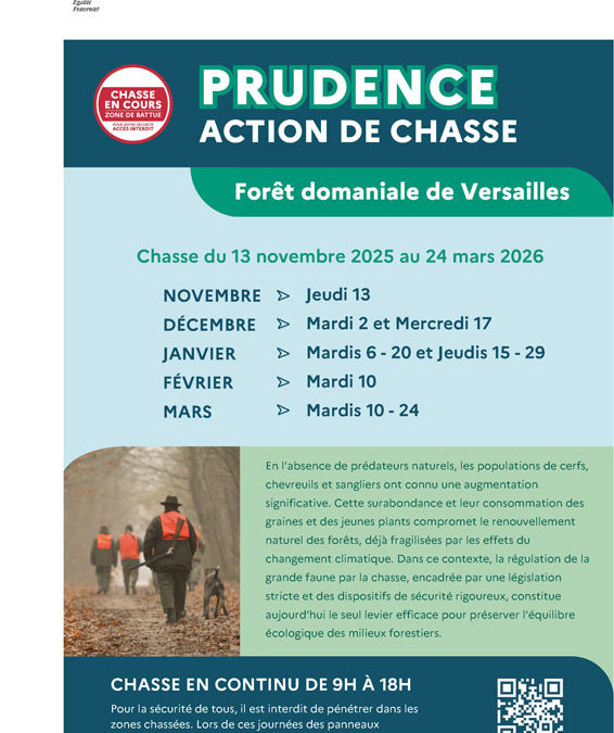 Chasse en forêt de Versailles, décembre 2025 à mars 2026