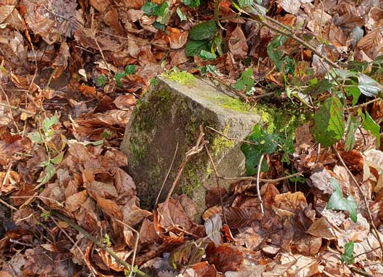 Bloc de pierre par terre dans la forêt