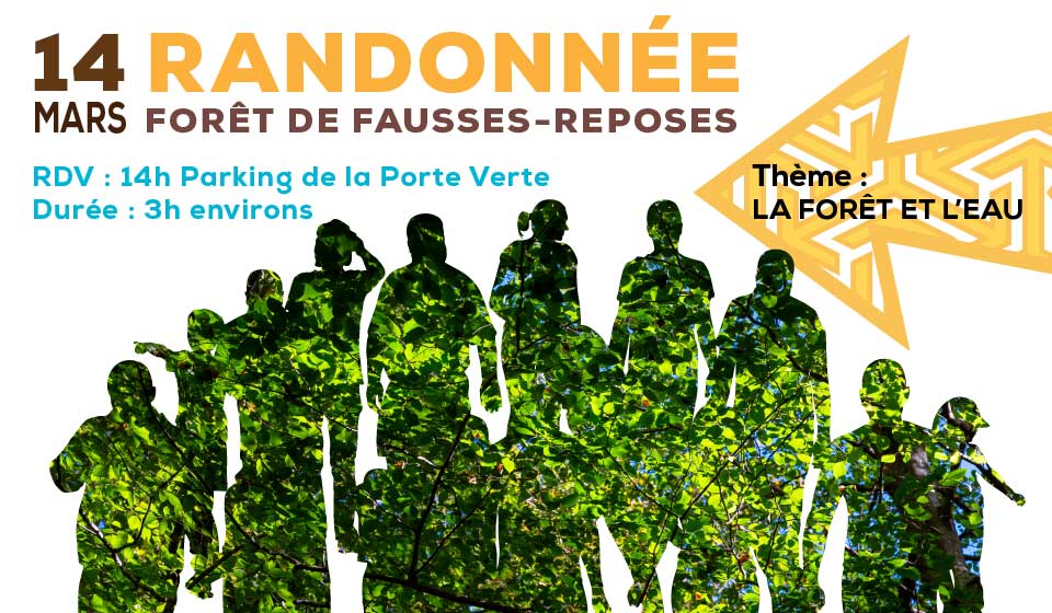 Randonnée en foret de fausses-reposes sur le theme de l'eau et des arbres