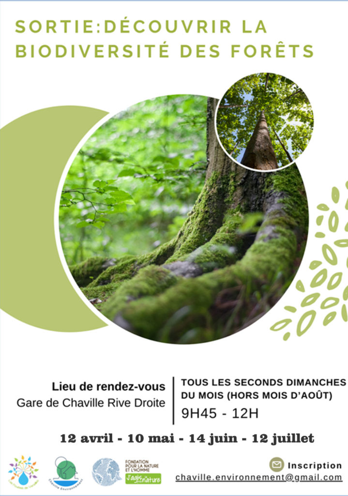 Affiche d'annonce des 4 sorties pour découvrir la biodiversité des forêts