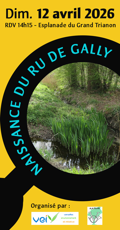 Annonce promenada "À la découverte de la ru de Gally"