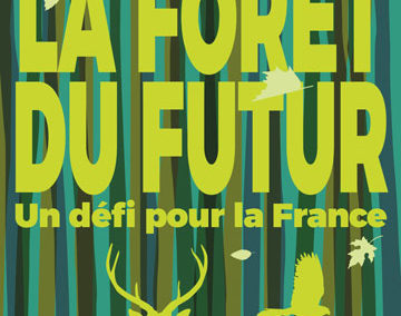 La forêt du futur, un défi pour la France