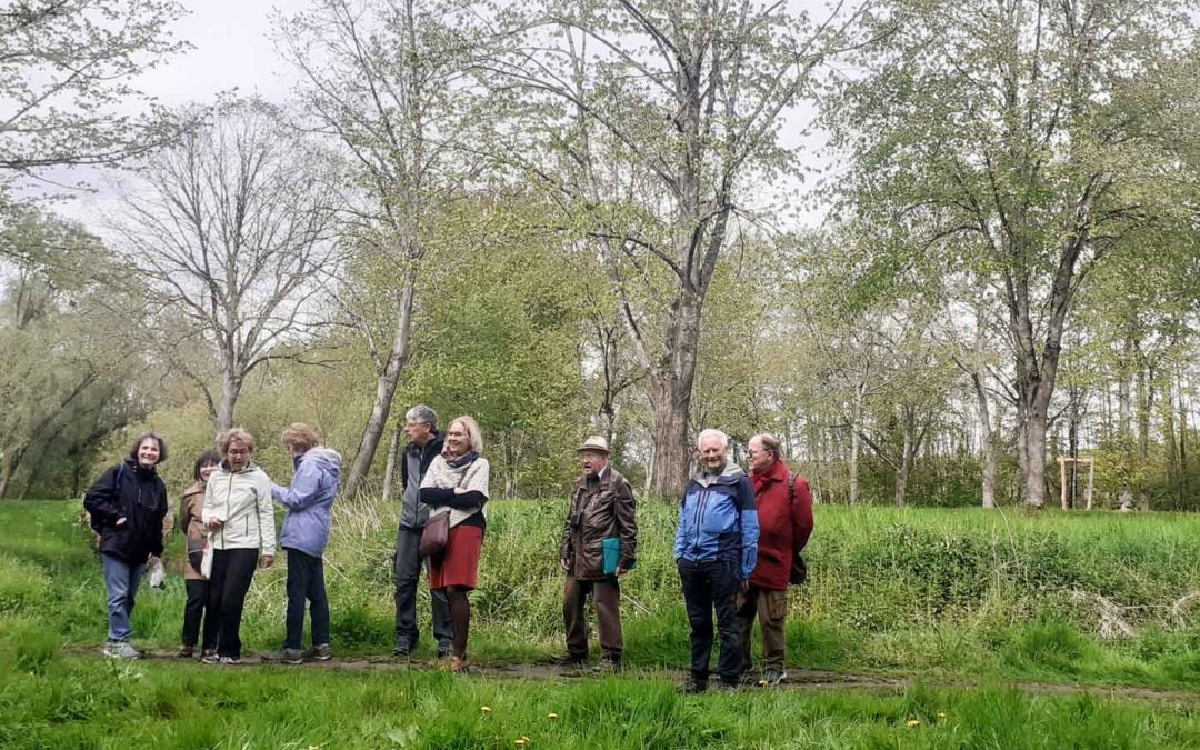Partage de la visite, « Naissance Ru de Gally »